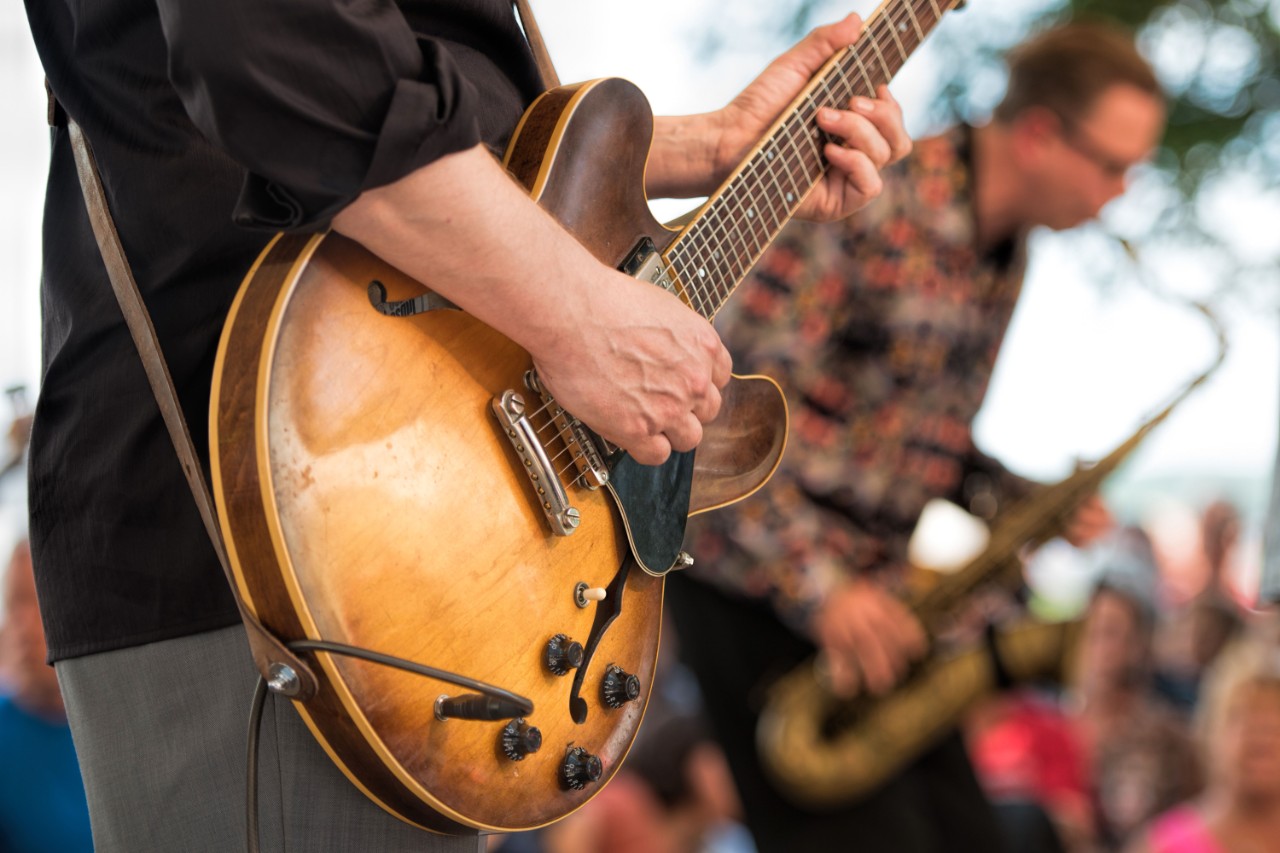 Guitar